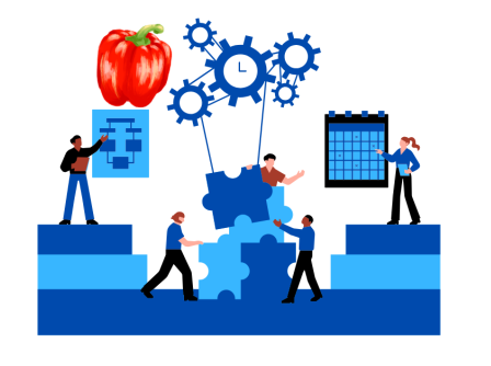 Machine Operator// Team Leader – Bell Pepper Sorting Facility