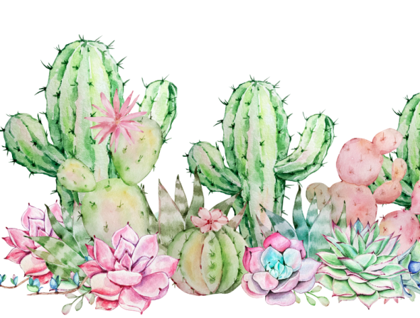 Werknemers – Kassenwerk met minicactusse